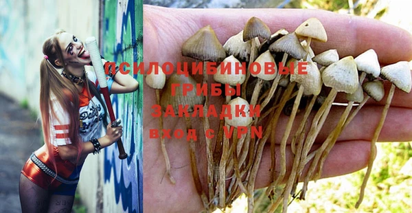 мдпв Лихославль