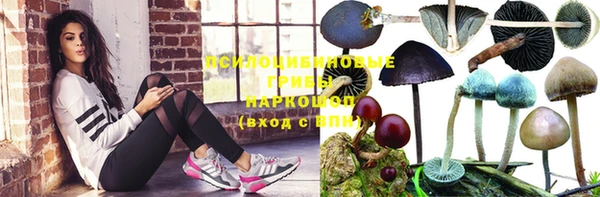 твердый Липки