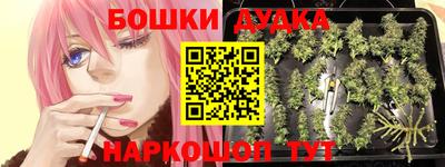 мдпв Гусь-Хрустальный