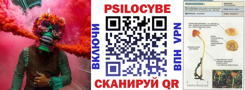 Псилоцибиновые грибы Psilocybe hydra вход Домодедово