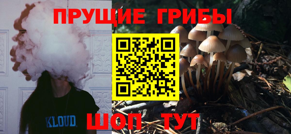Галлюциногенные грибы мицелий  Псилоцибиновые грибы мухоморы  Вход с VPN  купить закладку  Домодедово 